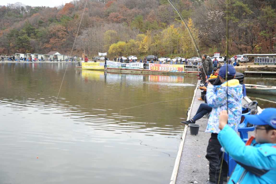DSC_9878.JPG
