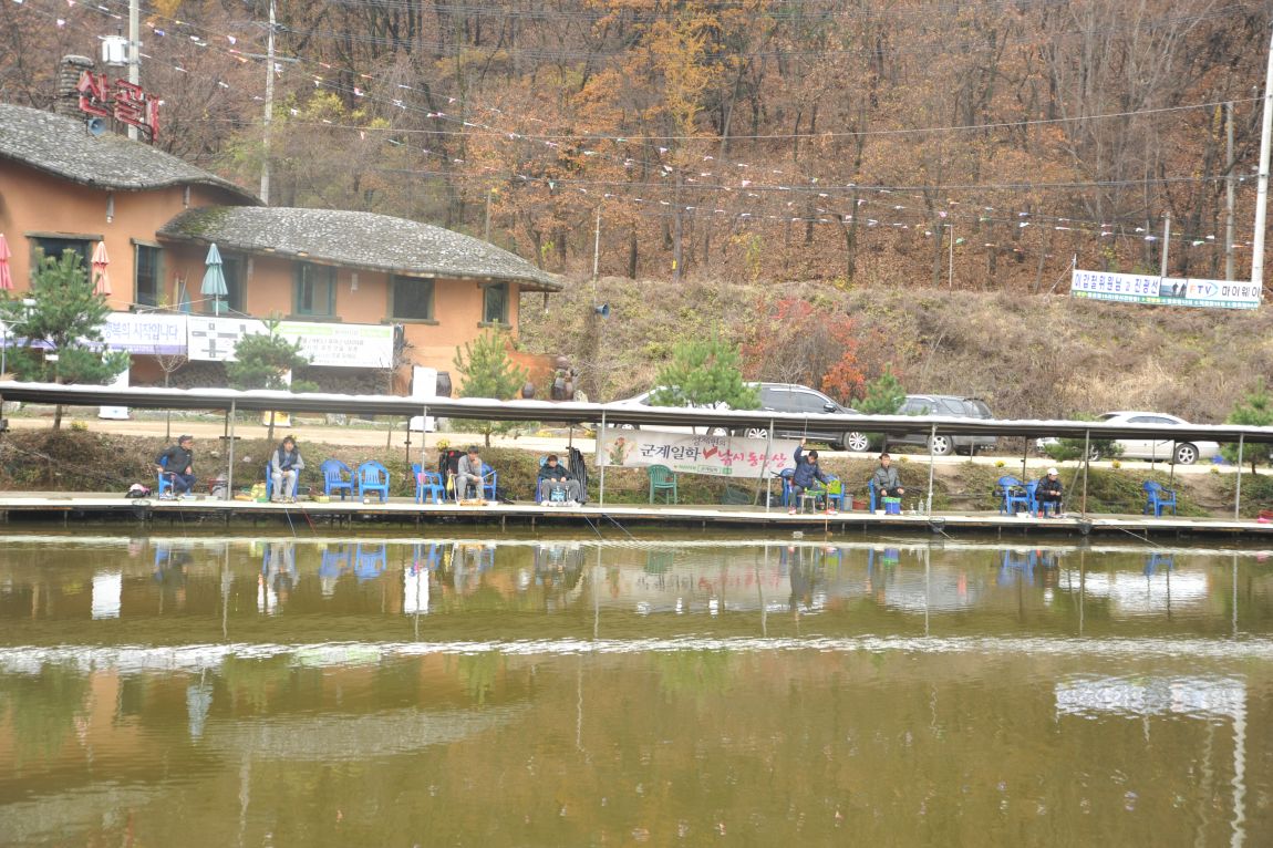 DSC_9853.JPG