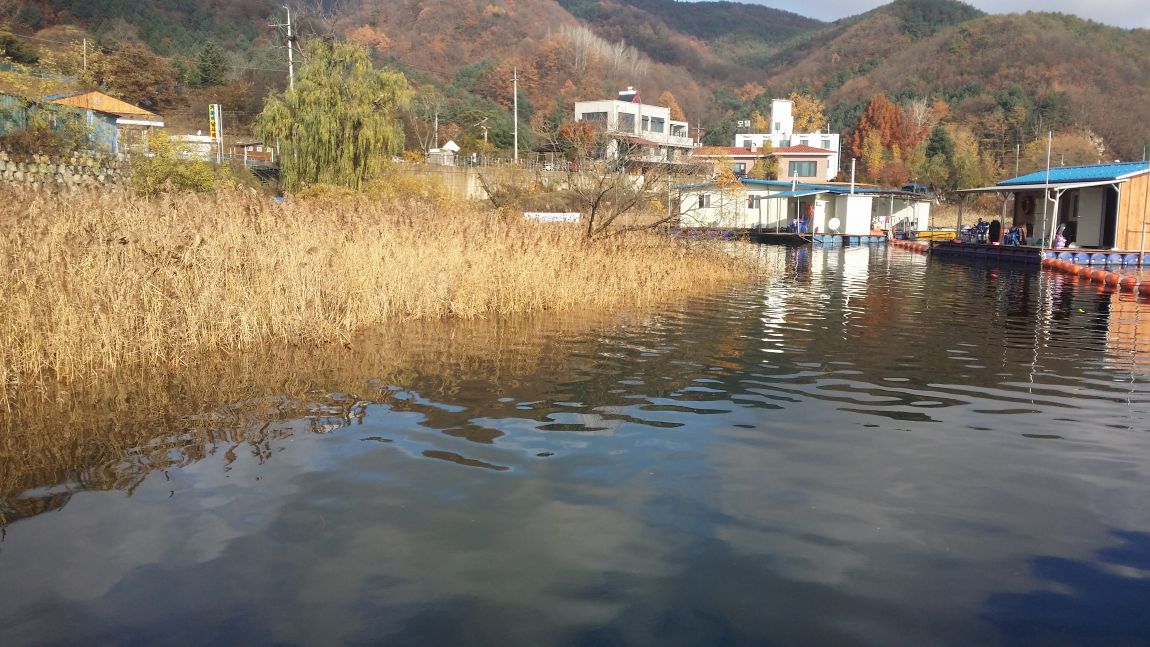 20151115_094718.jpg