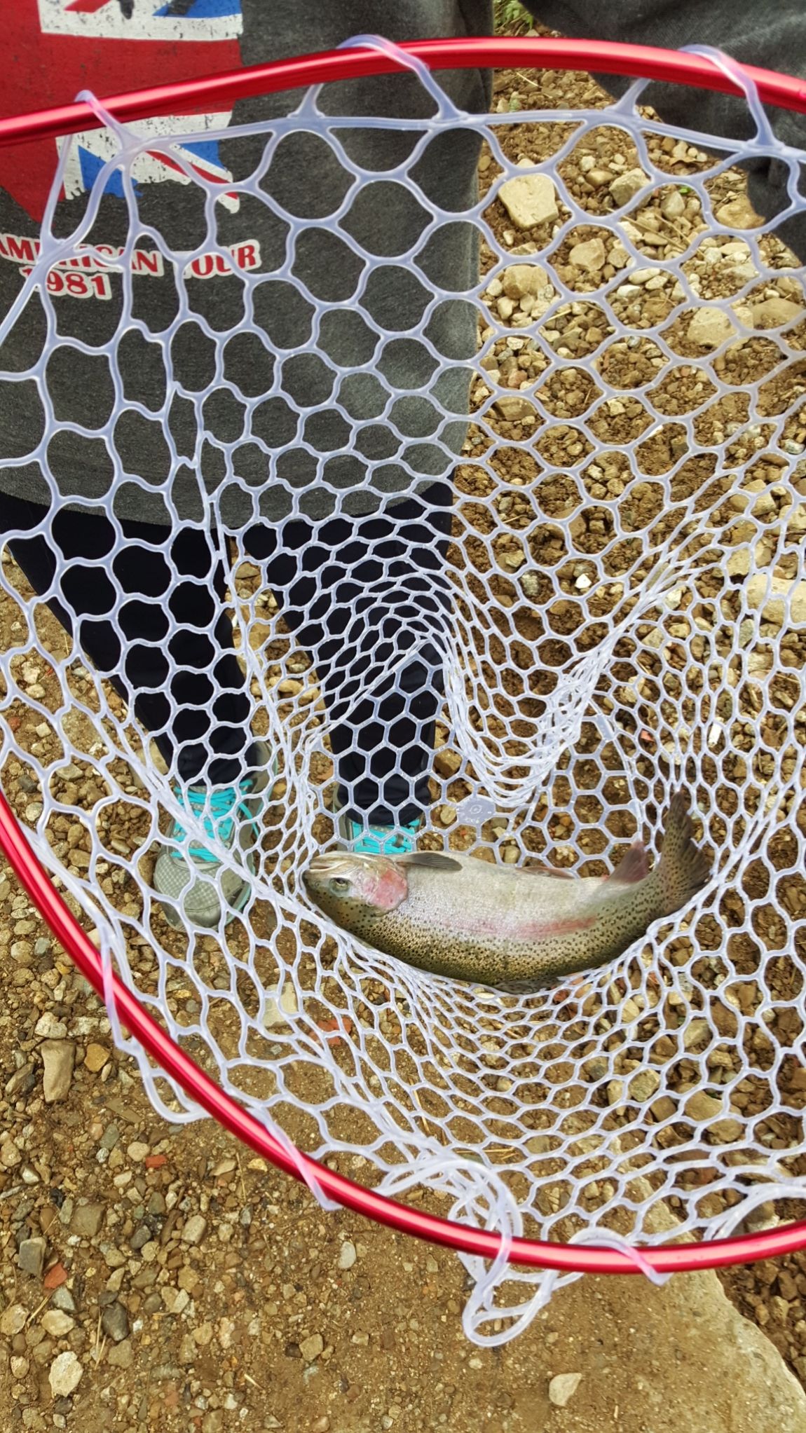 20151114_150623.jpg