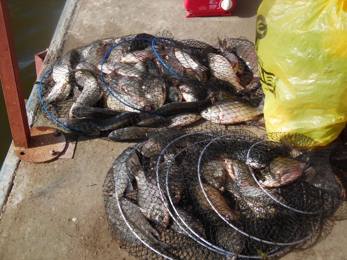 031.JPG