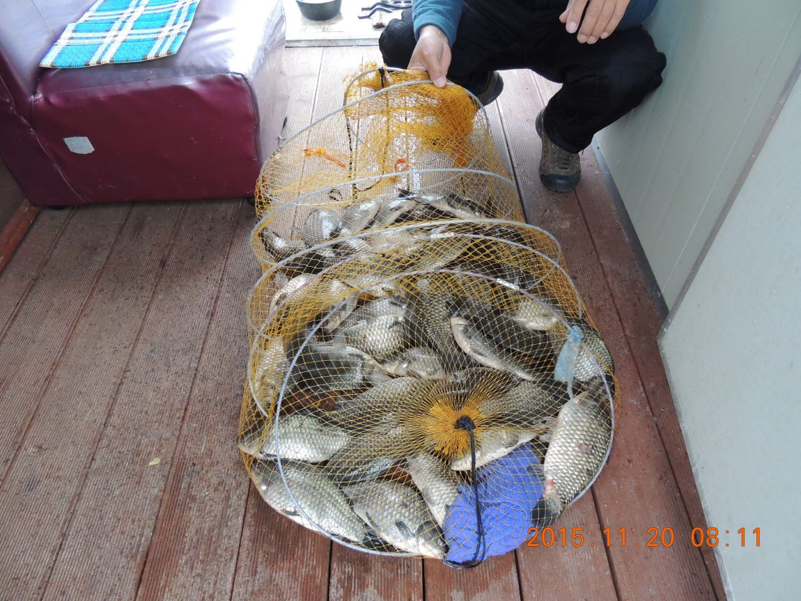 DSCN2586.JPG