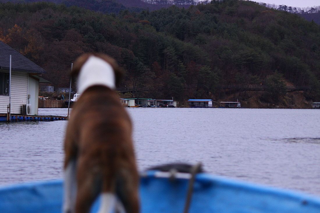 �ٹ̱�_15��11��1�� 1294.jpg