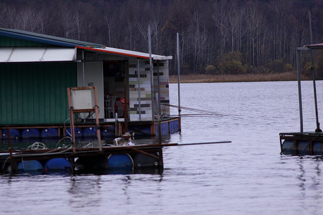 �ٹ̱�_15��11��1�� 1311.jpg