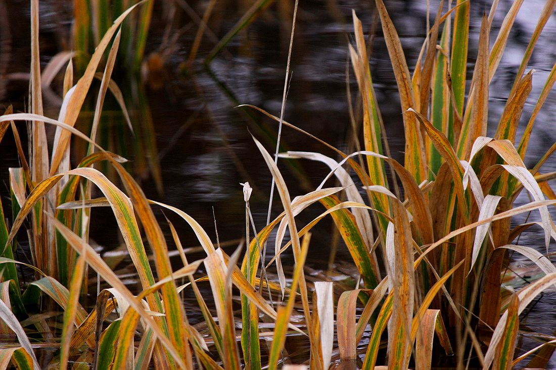 �ٹ̱�_15��11��1�� 1312.jpg