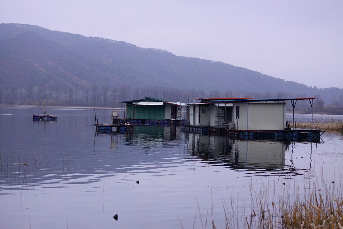 �ٹ̱�_15��11��1�� 1314.jpg