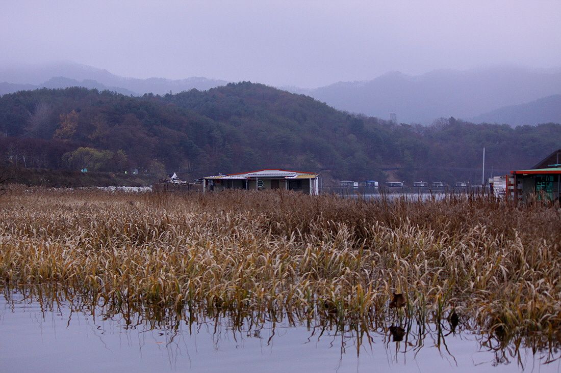 �ٹ̱�_15��11��1�� 1318.jpg