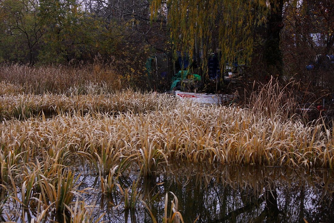 �ٹ̱�_15��11��1�� 1319.jpg