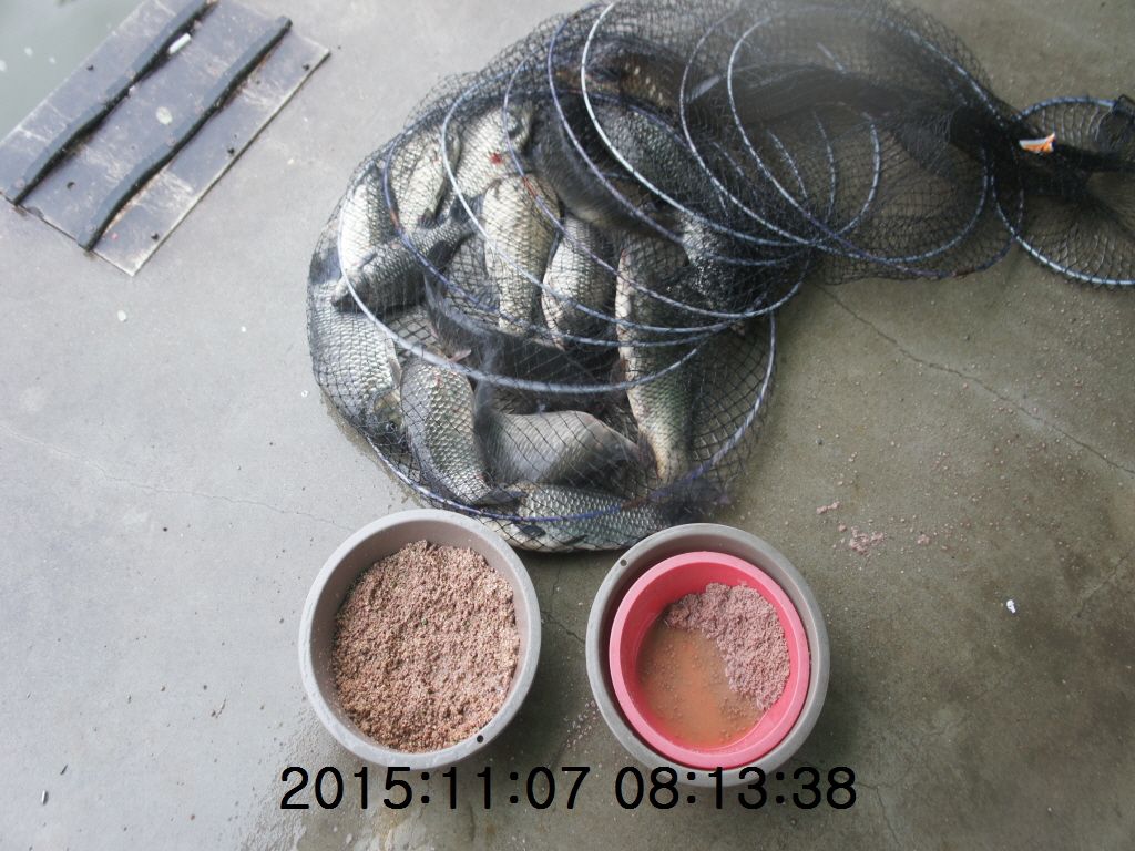 �ٹ̱�_11-2011-20 011.JPG