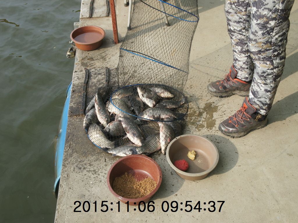 �ٹ̱�_11-2011-20 005.JPG