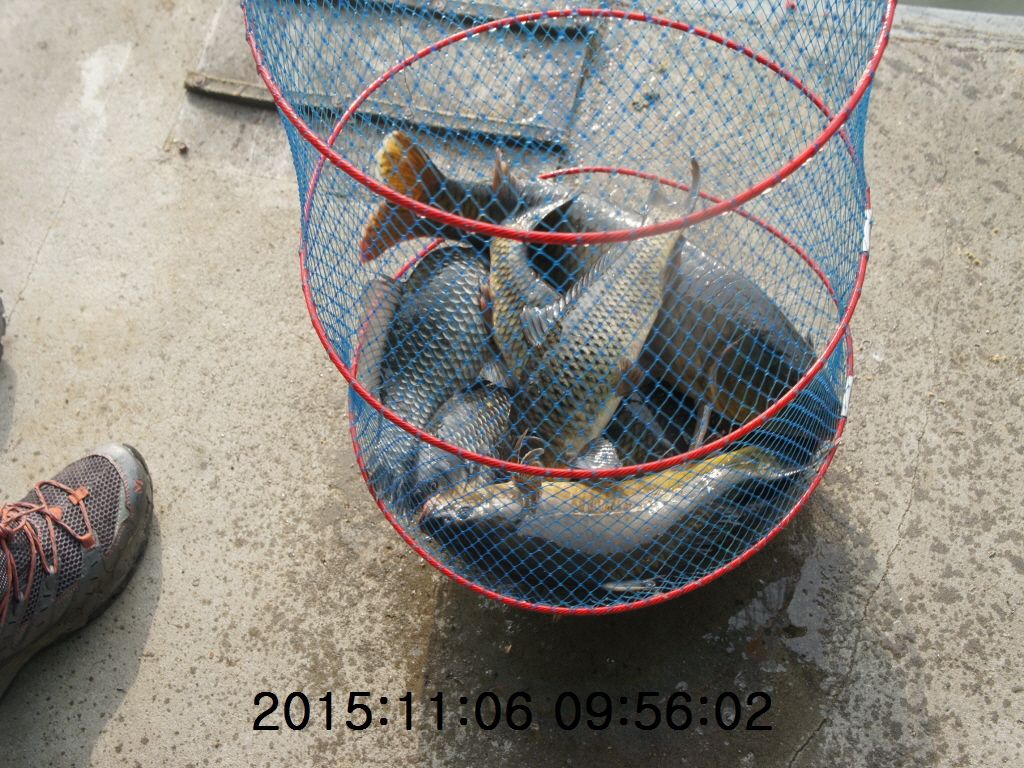 �ٹ̱�_11-2011-20 006.JPG