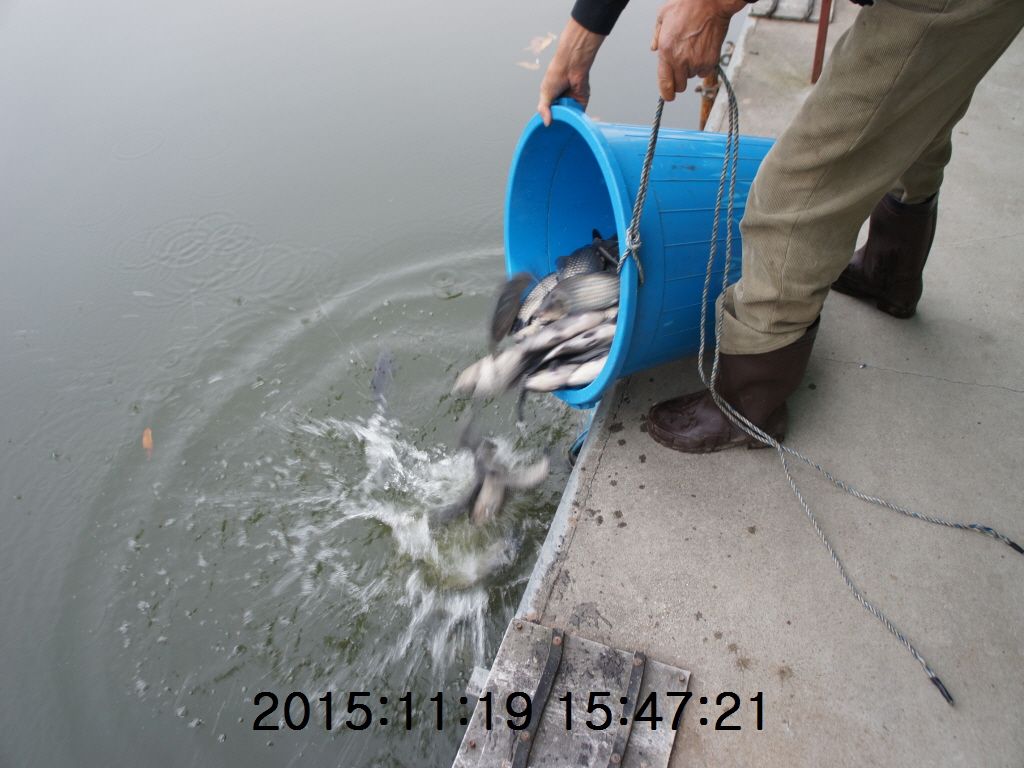 �ٹ̱�_11-2011-20 031.JPG