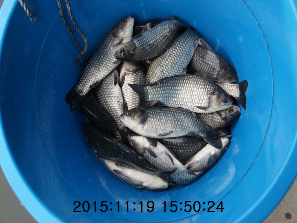 �ٹ̱�_11-2011-20 034.JPG