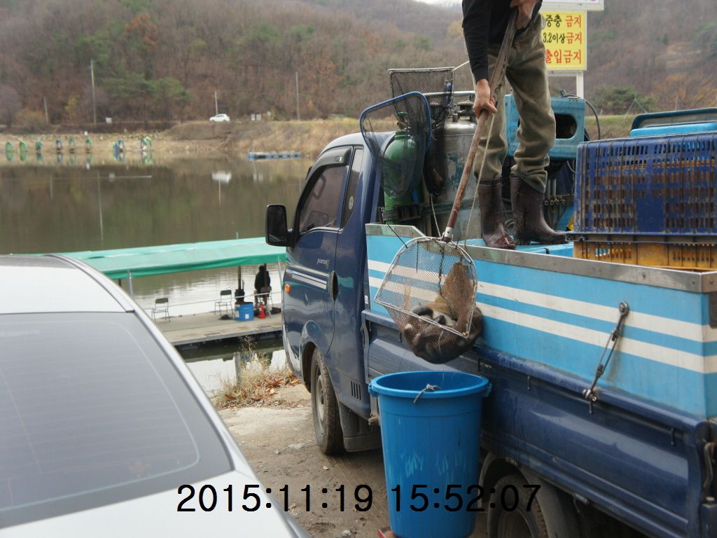 �ٹ̱�_11-2011-20 041.JPG