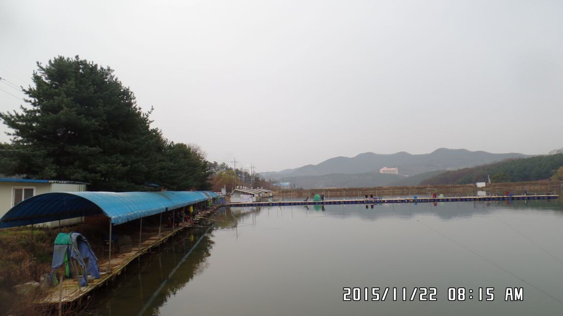 SAM_0987.JPG