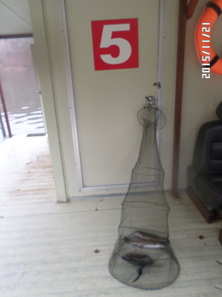 SAM_1150.JPG