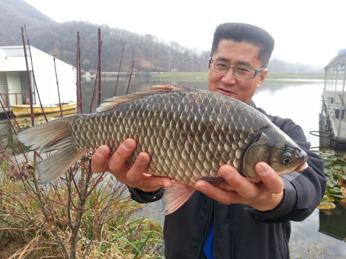 20151121_110515.jpg