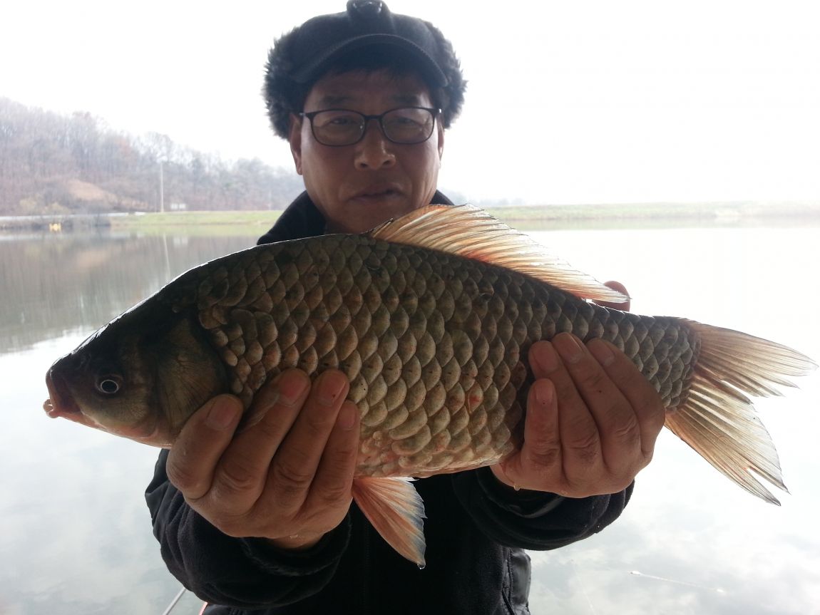 20151121_111558.jpg
