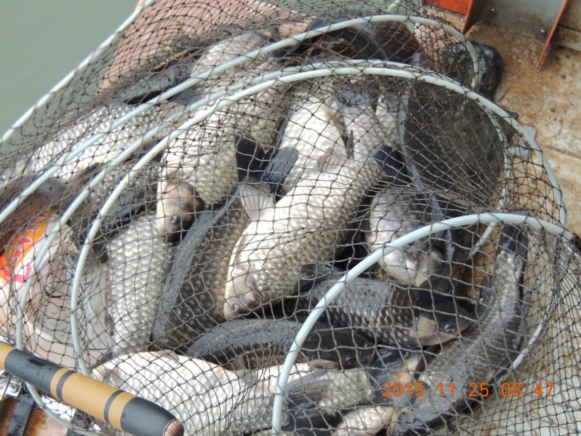 DSCN2617.JPG