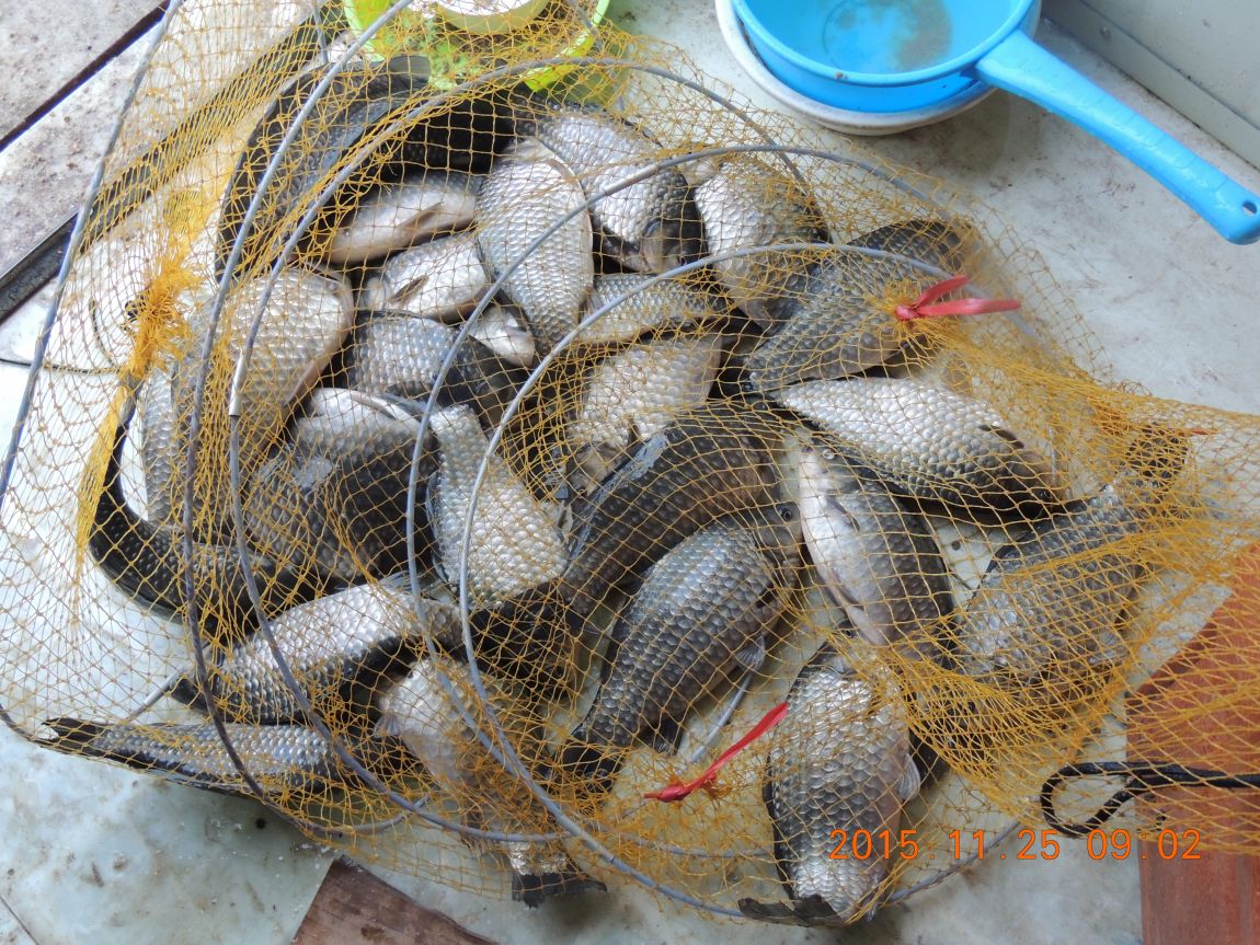 DSCN2618.JPG