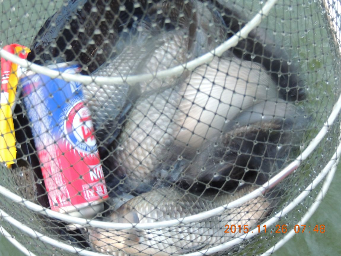 DSCN2621.JPG