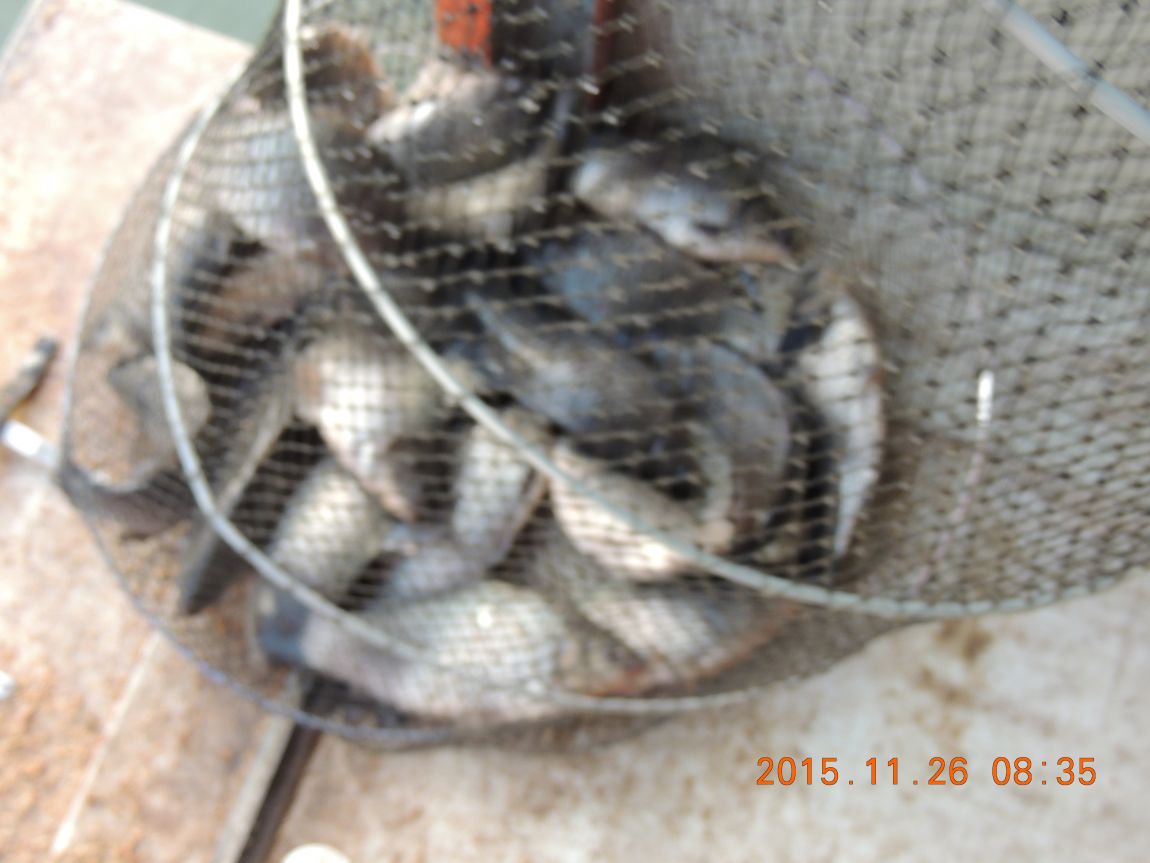 DSCN2622.JPG
