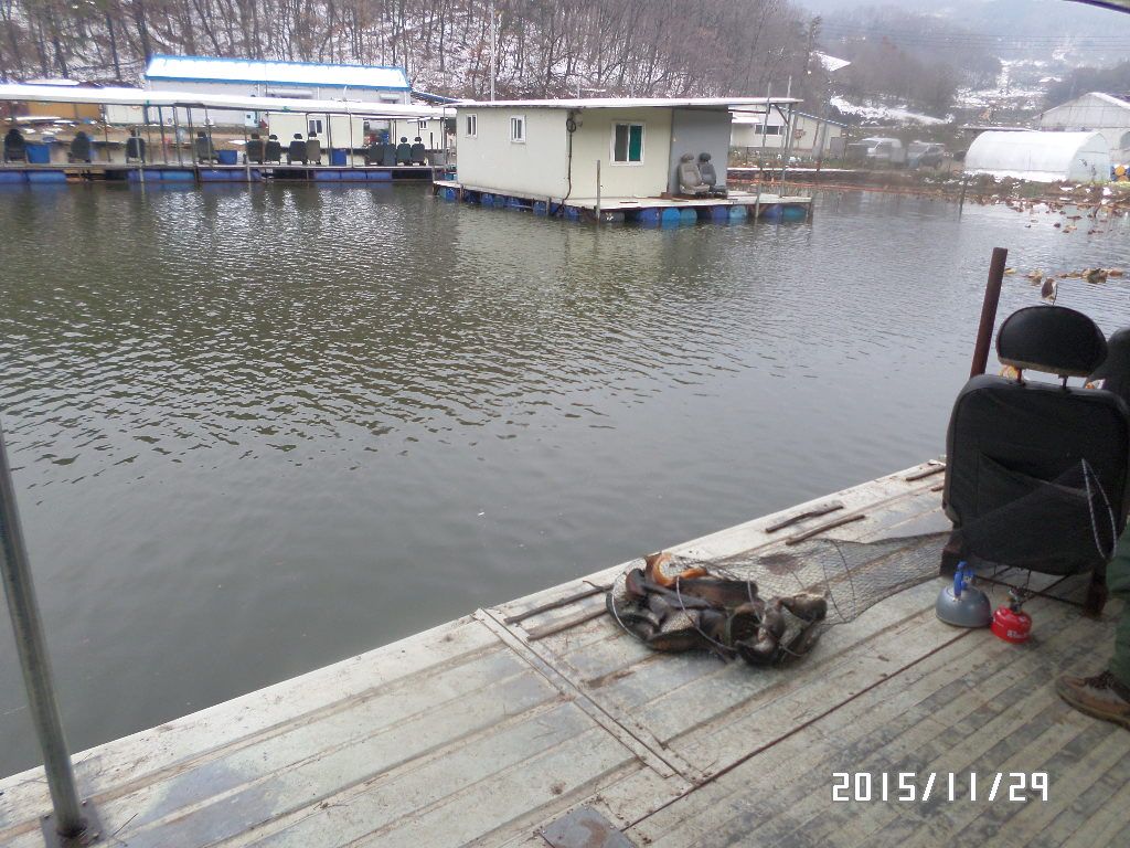 SAM_1196.JPG