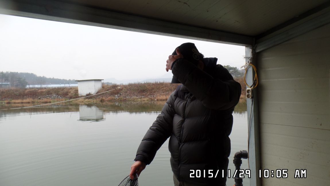 SAM_1169.JPG