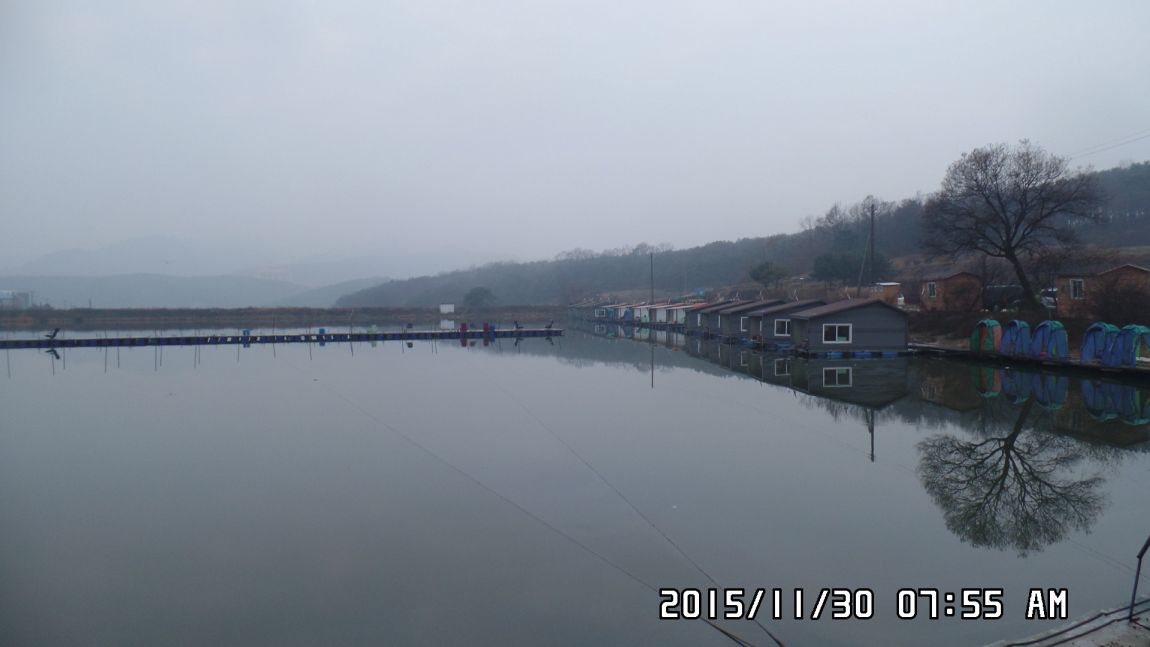 SAM_1172.JPG