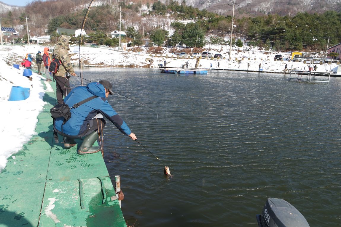 SAM_0684.JPG