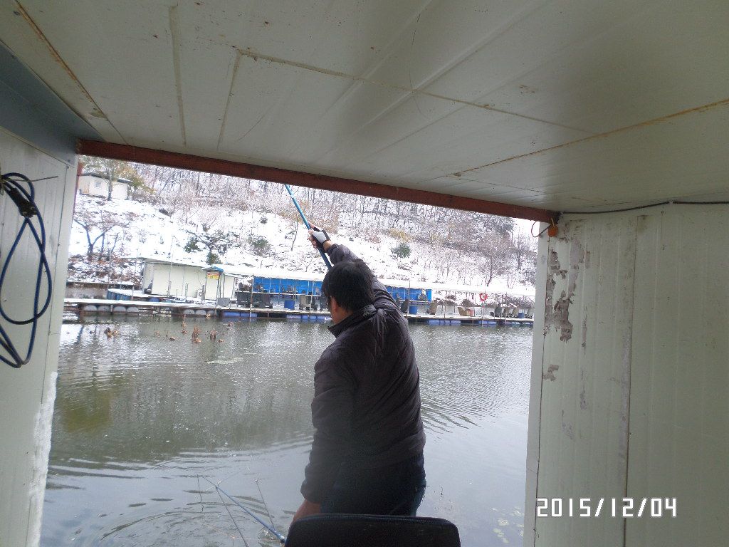 SAM_1216.JPG