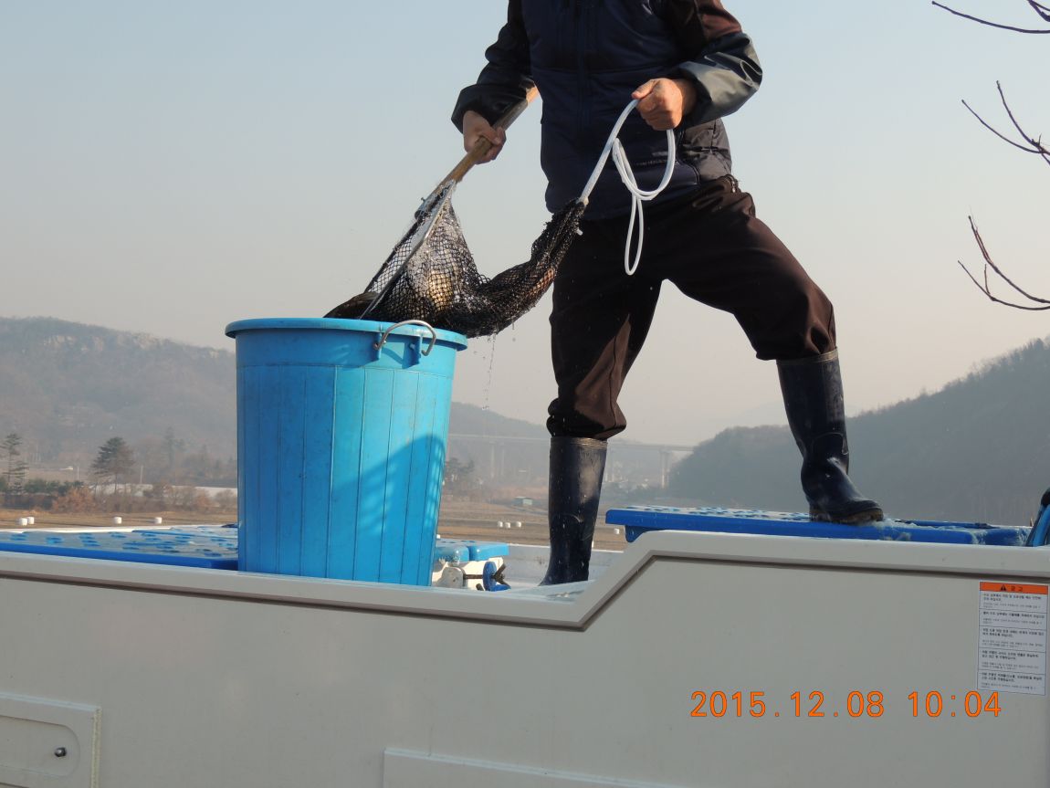 DSCN2726.JPG