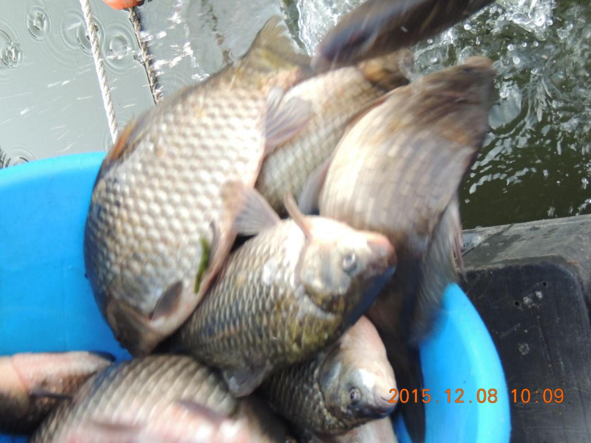 DSCN2733.JPG
