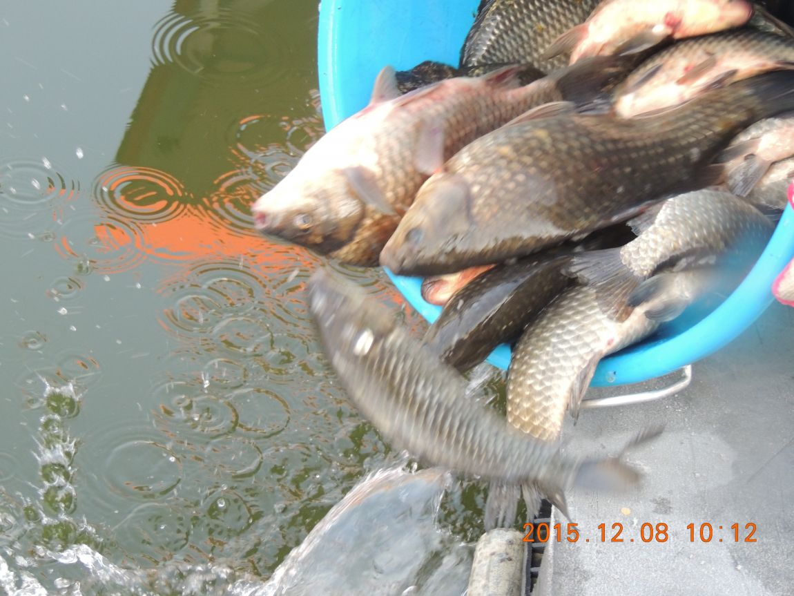 DSCN2737.JPG