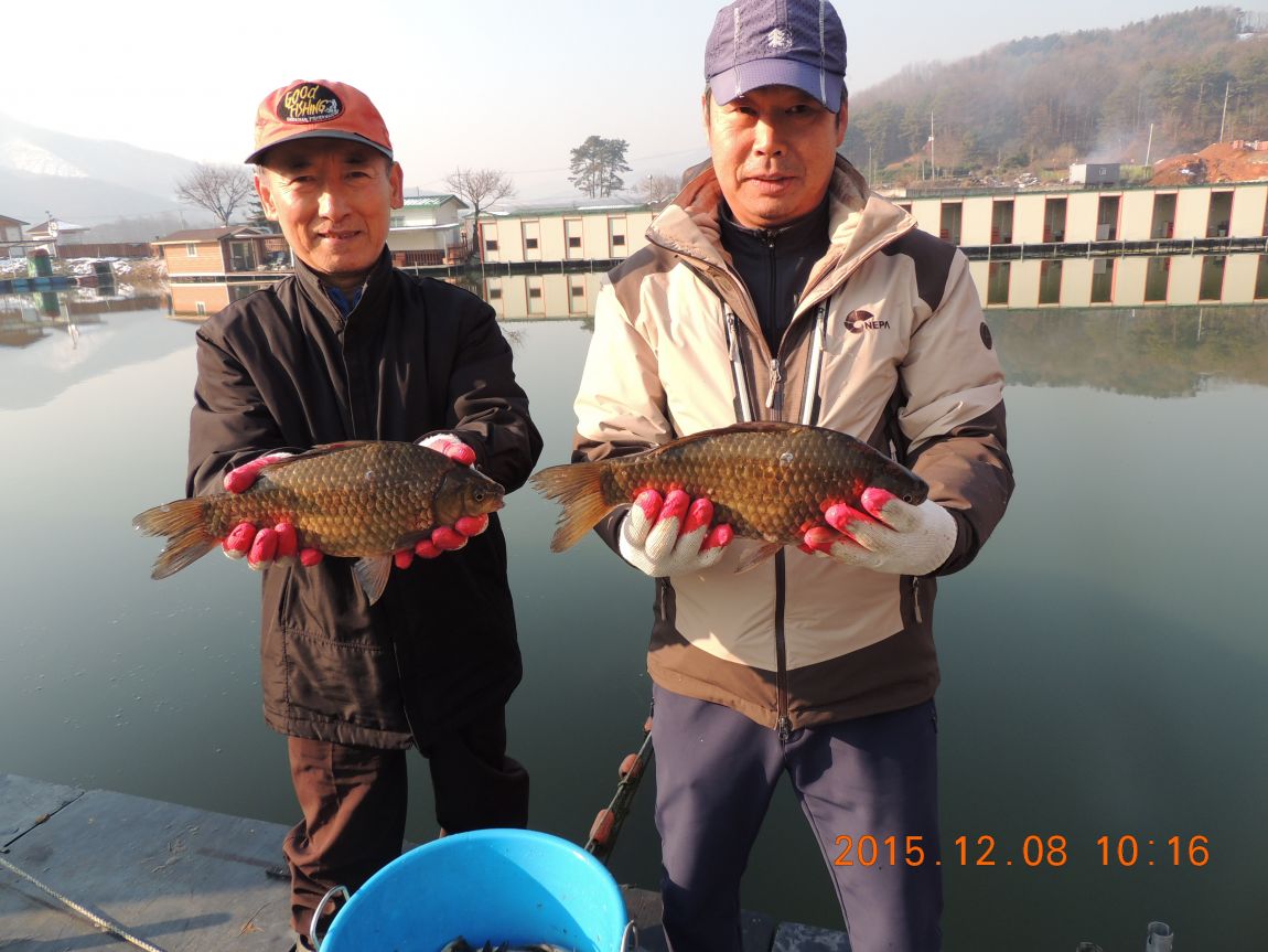 DSCN2739.JPG