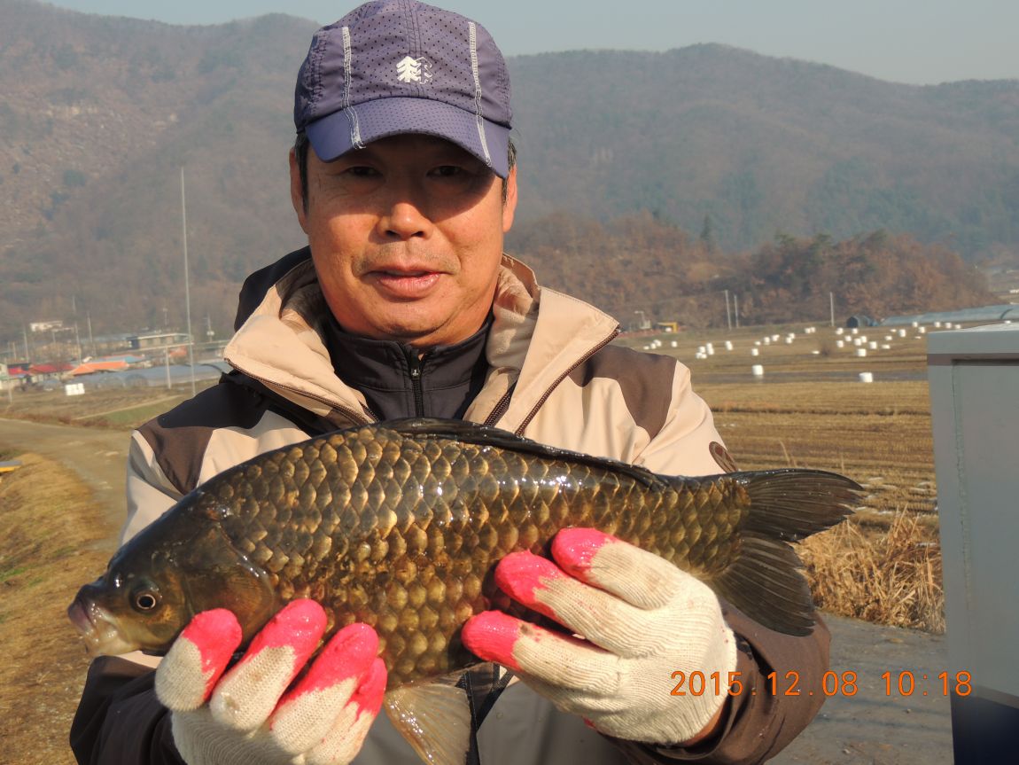 DSCN2742.JPG
