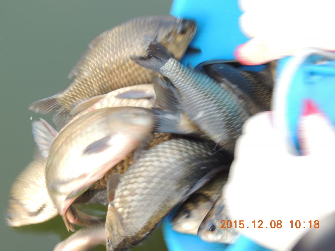 DSCN2743.JPG