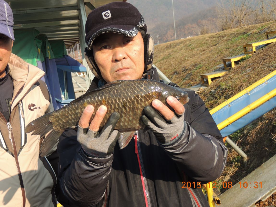DSCN2754.JPG
