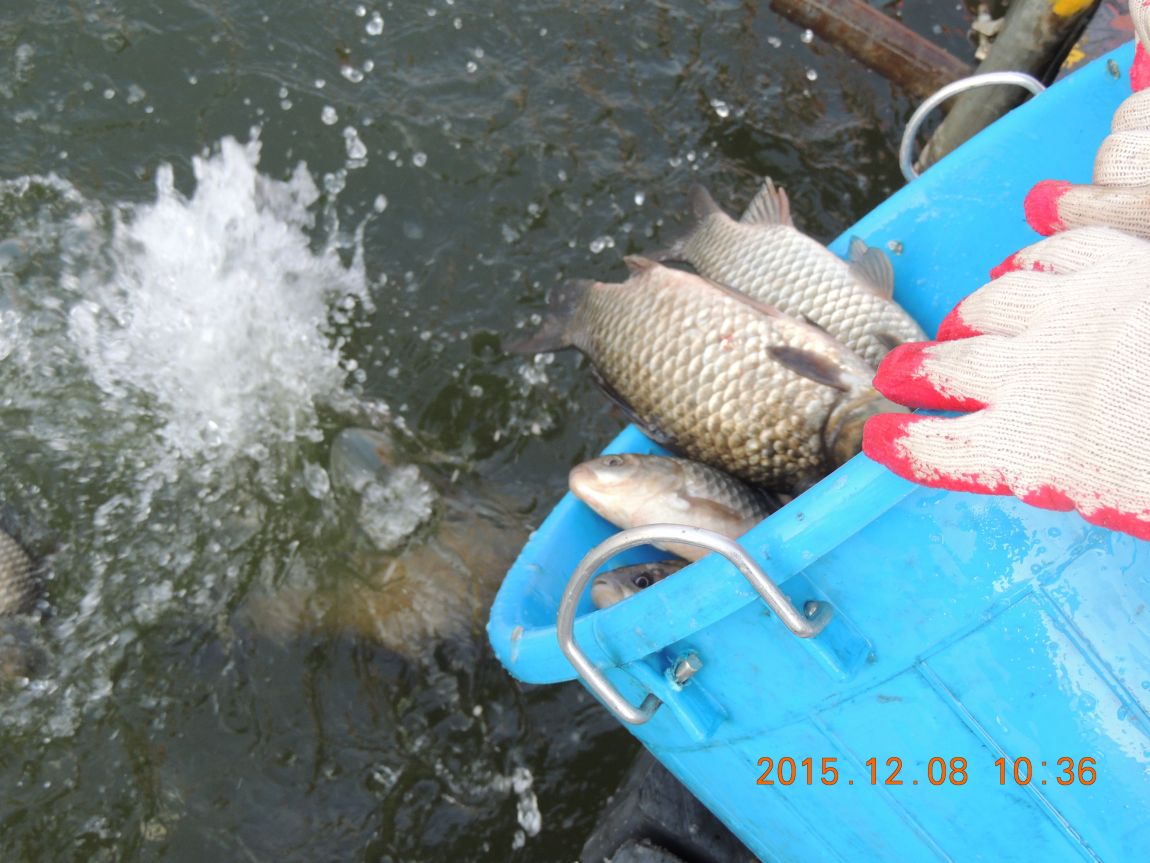 DSCN2762.JPG