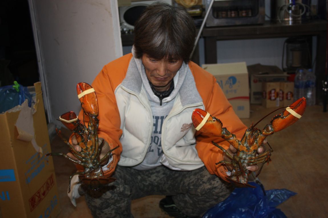 IMG_4877.JPG