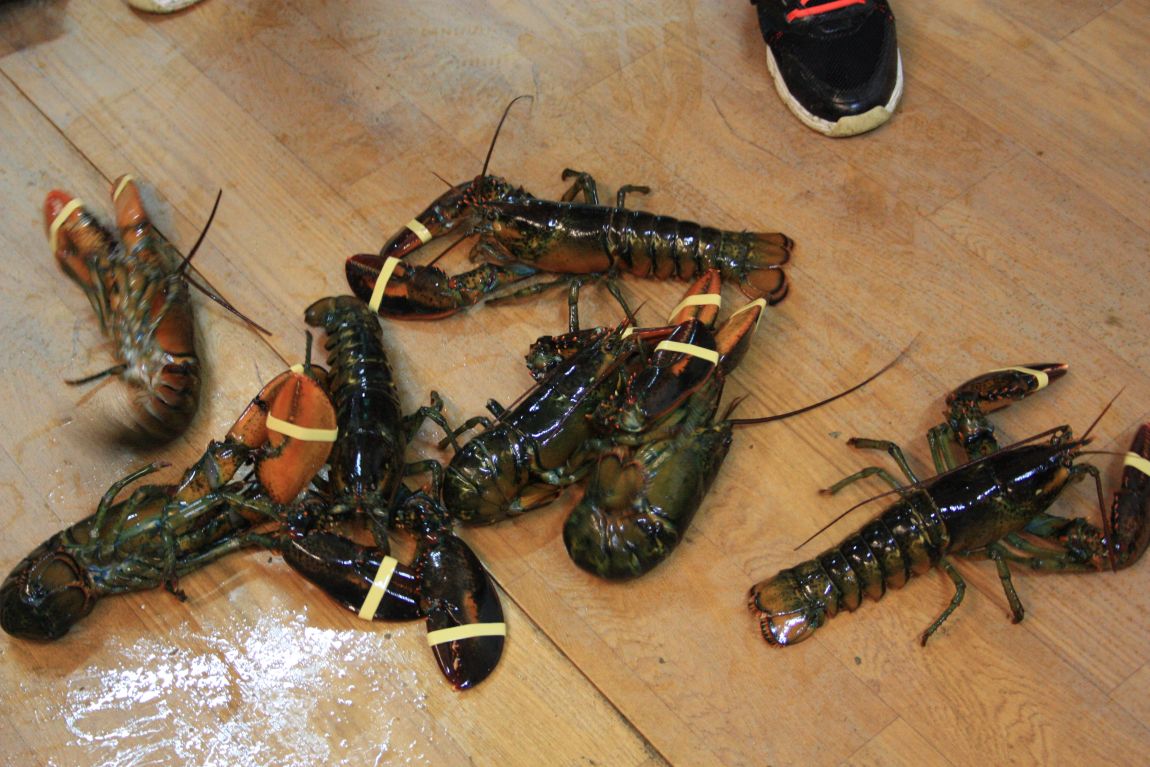 IMG_4927.JPG