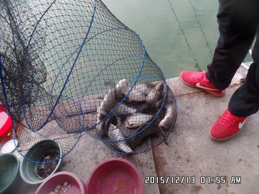 SAM_1463.JPG