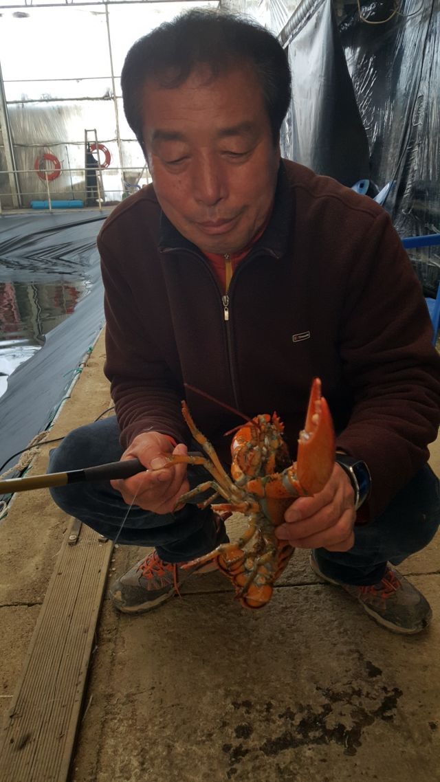 지오캠핑낚시터 유료낚시터 > 지오바다하우스낚시터 12월12일 조황정보 : 낚시사랑