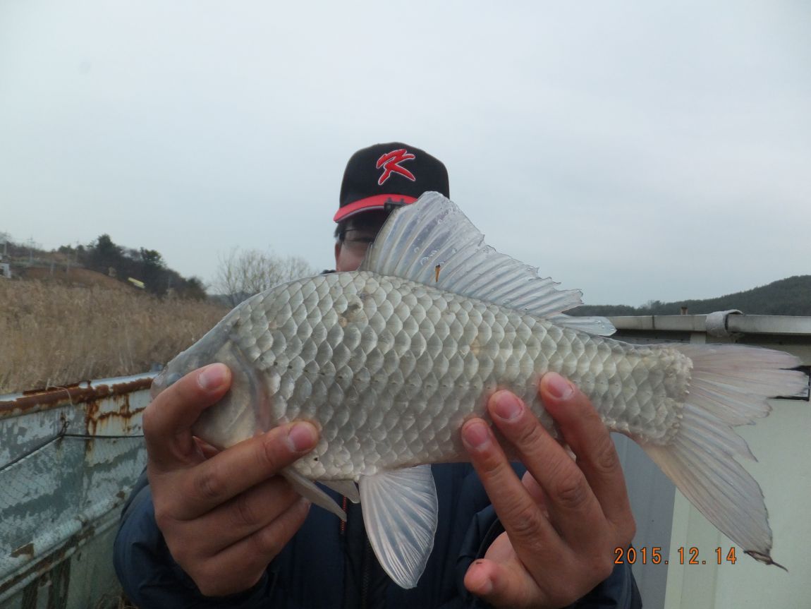 201300703 185.jpg