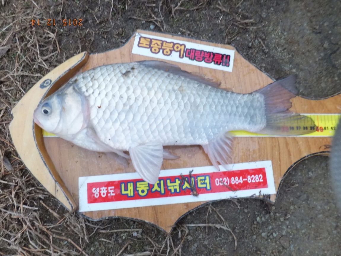 201300703 184.jpg