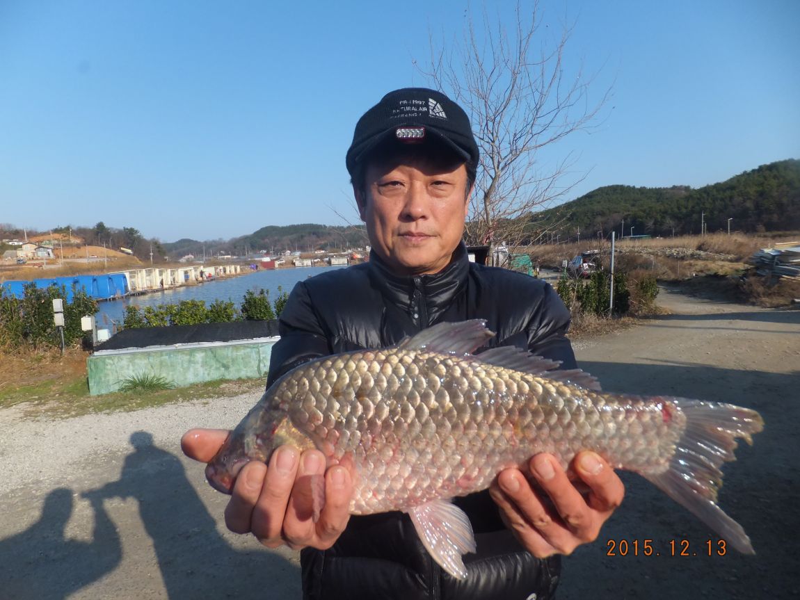201300703 173.jpg