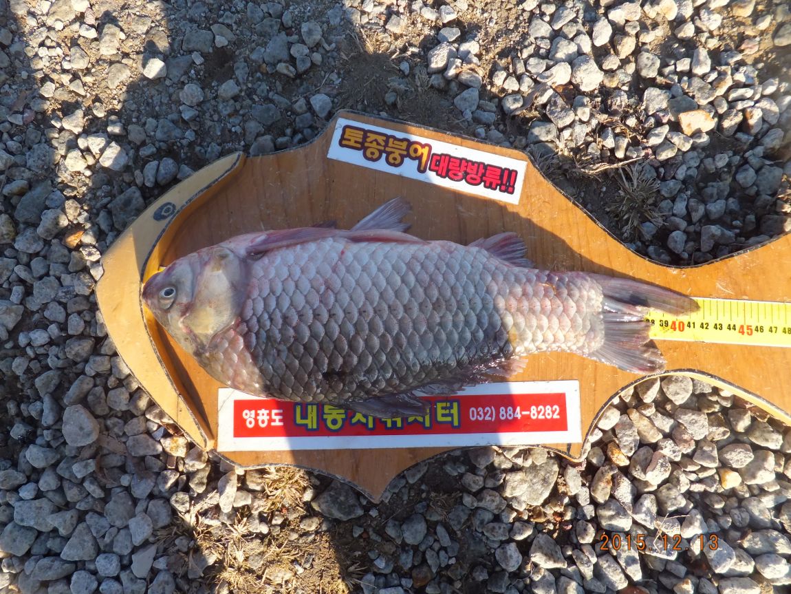 201300703 172.jpg