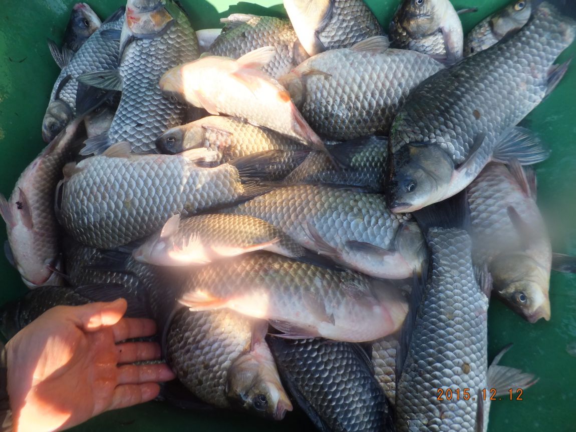 201300703 100.jpg