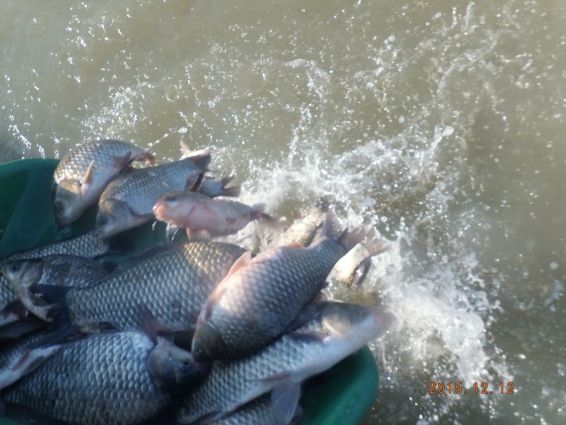 201300703 118.jpg