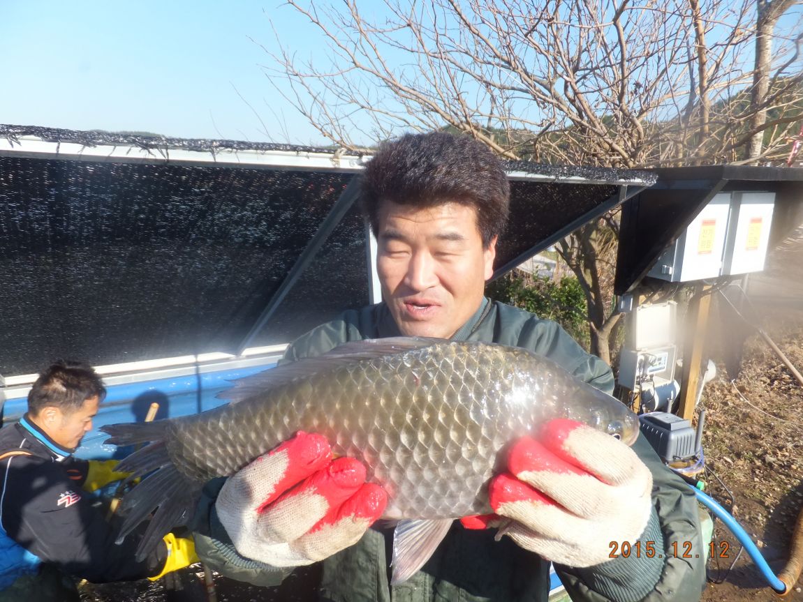 201300703 126.jpg
